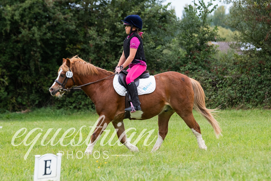 Berkeley and District Riding Club Combined Training - 7 September 2019