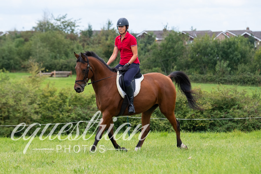 Berkeley and District Riding Club Combined Training - 7 September 2019